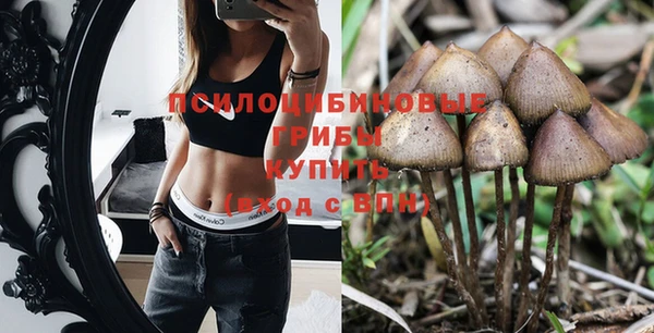 эйфоретик Новодвинск