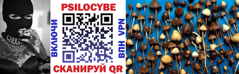 Галлюциногенные грибы Psilocybe kraken как зайти Комсомольск сколько стоит